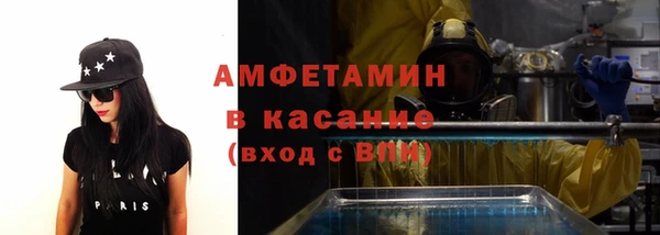 дурь Инсар