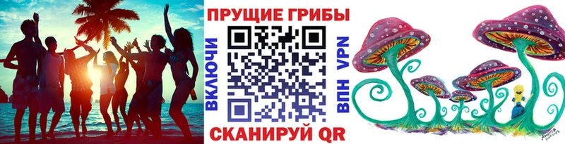 наркотики  Навашино  Галлюциногенные грибы ЛСД 